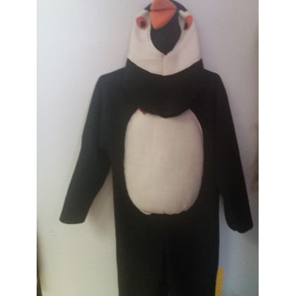 Pingvinas G 29 nuoma